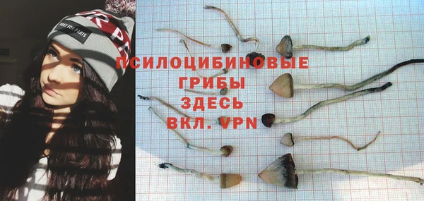 таблы Алзамай