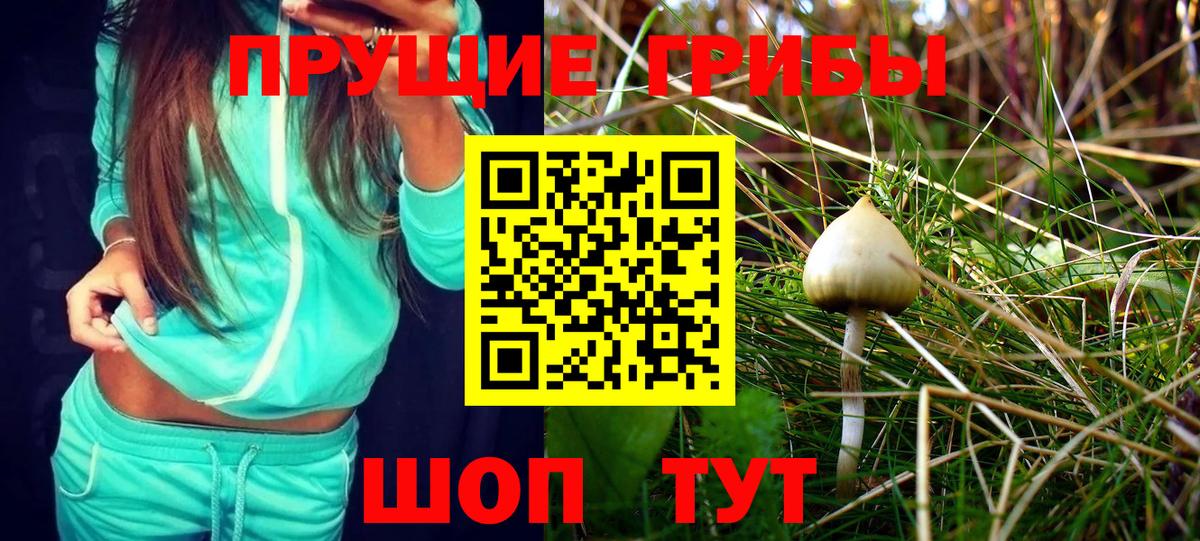 Галлюциногенные грибы GOLDEN TEACHER Аргун