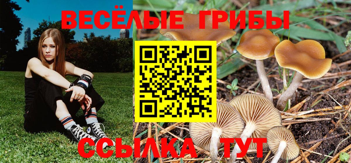 Галлюциногенные грибы ЛСД  Вход с VPN  Галлюциногенные грибы GOLDEN TEACHER  Аргун 