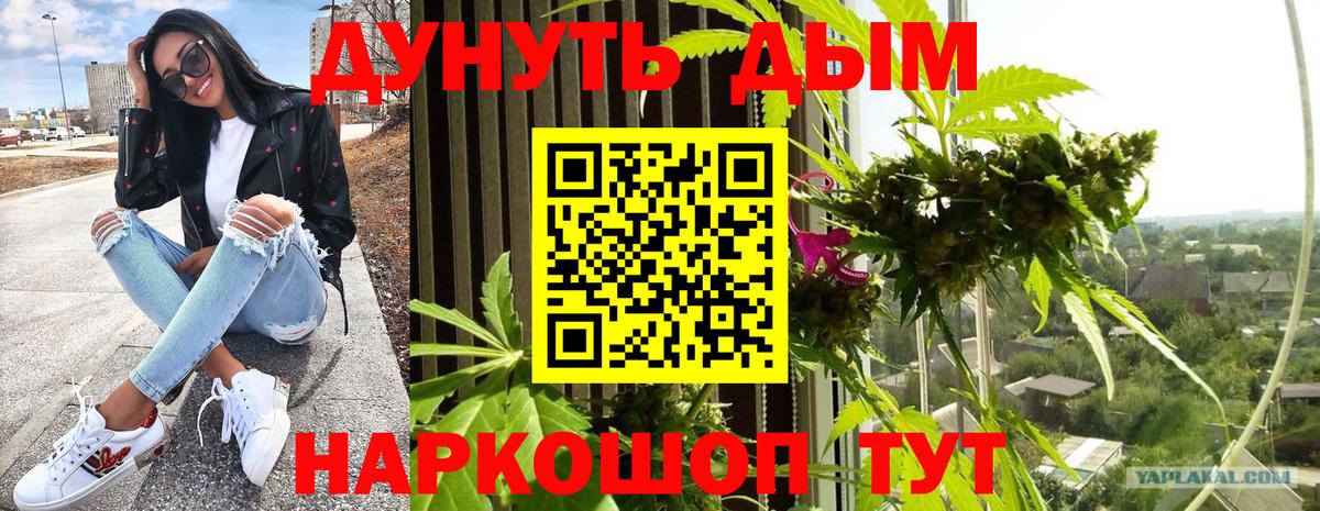 Конопля Ganja  Бошки марихуана MAZAR  Шишки марихуана планчик  Вход с VPN  Аргун 